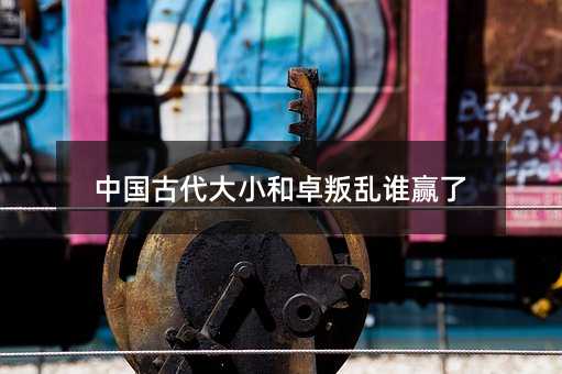 中国古时候大小和卓叛乱哪个赢了