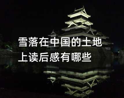 雪落在中国的土地上读后感有哪些