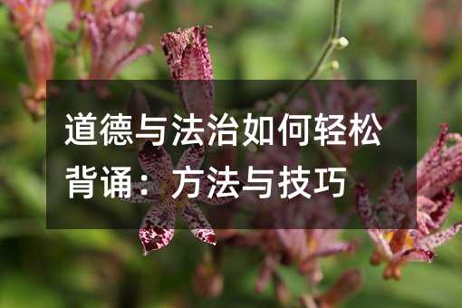 道德与法治如何轻松背诵:方法与技巧