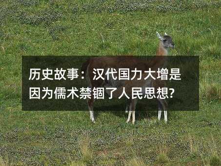 历史故事:汉代国力大增是因为儒术禁锢了人民思想?