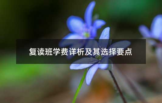 复读班学费详析及其选择要点