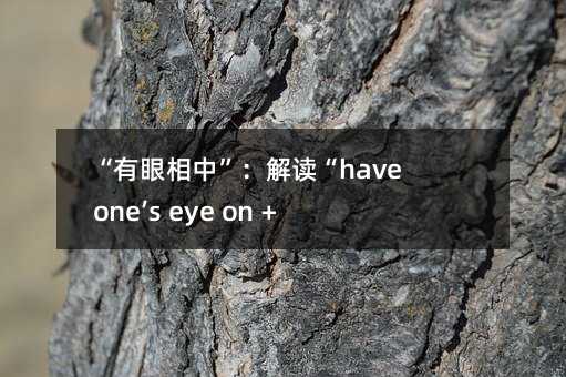 “有眼相中”：解读“have one’s eye on + 人或物”的多重含义