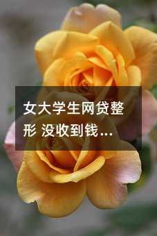 女大学生网贷整形 没收到钱没整形却被催还款