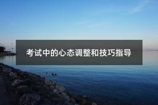 考试中的心态调整和技巧指导