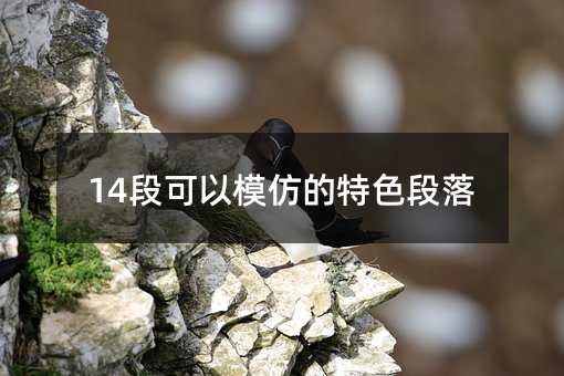 14段可以模仿的特色段落