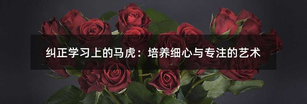 纠正学习上的马虎:培养细心与专注的艺术