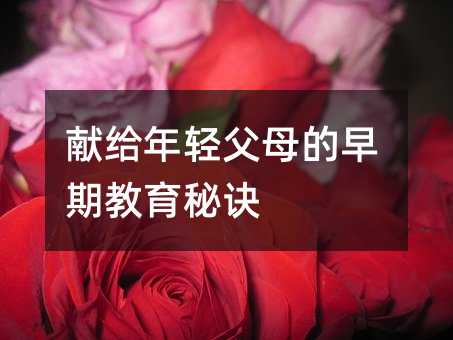 献给年轻父母的早期教育秘诀