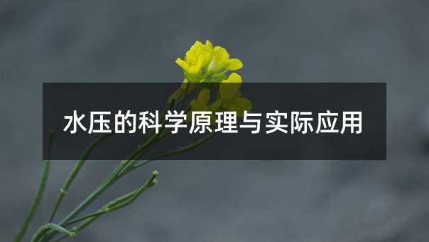 水压的科学原理与实际应用