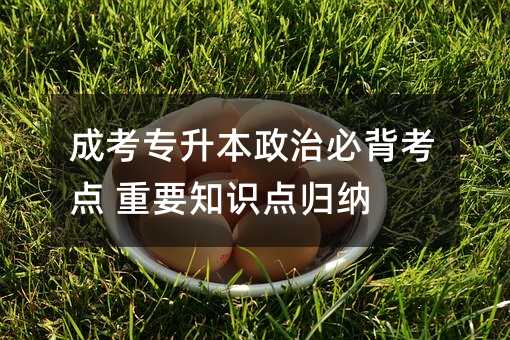 成考专升本政治必背考点 重要知识点归纳