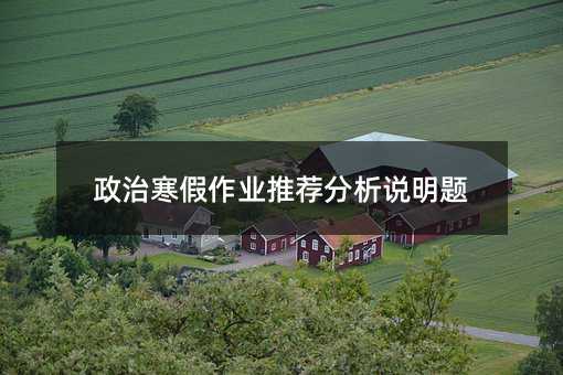 政治寒假作业推荐分析说明题