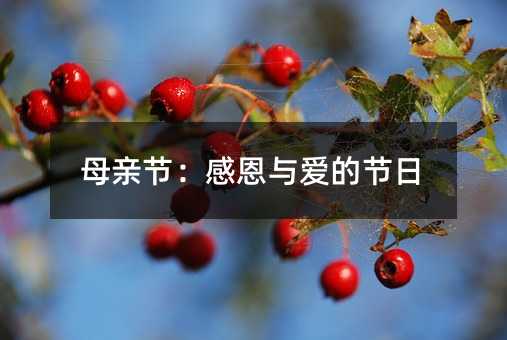 母亲节:感恩与爱的节日