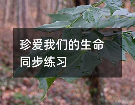 珍爱我们的生命同步练习