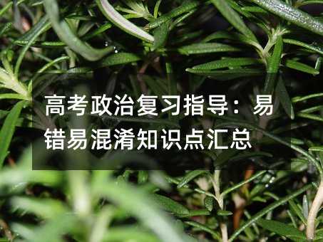 高考政治复习指导:易错易混淆知识点汇总
