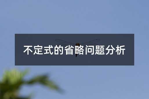 不定式的省略问题分析