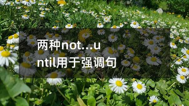 两种not...until用于强调句型的用法