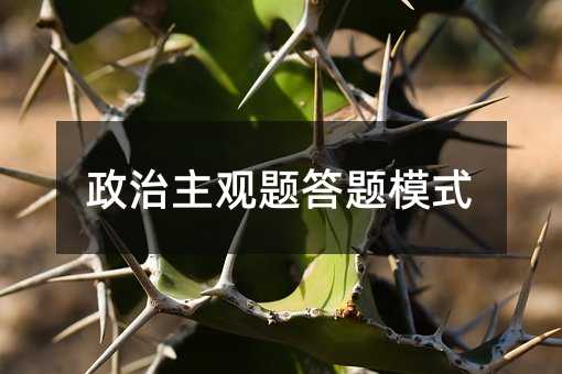 政治主观题答题模式
