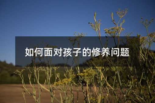 如何面对孩子的修养问题