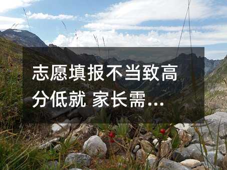 志愿填报不当致高分低就 家长需走心