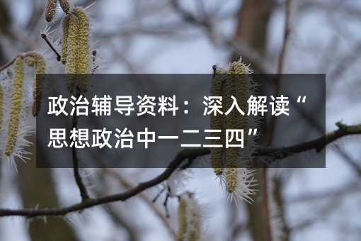 政治辅导资料:深入解读“思想政治中一二三四”