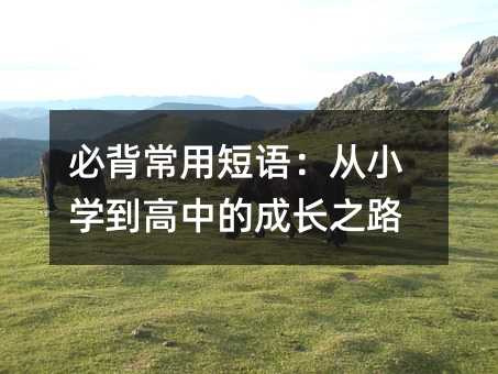 必背常用短语:从小学到高中的成长之路