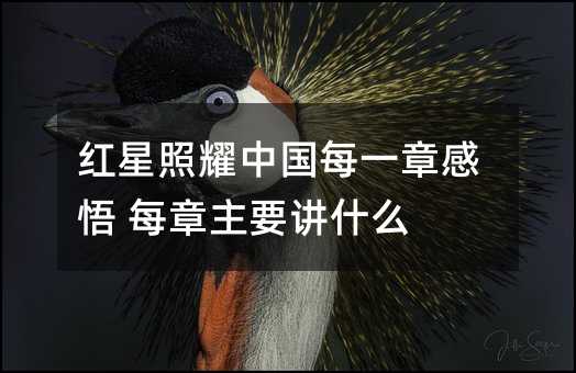 红星照耀中国每一章感悟 每章主要讲什么