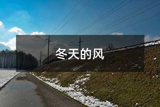 冬天的风