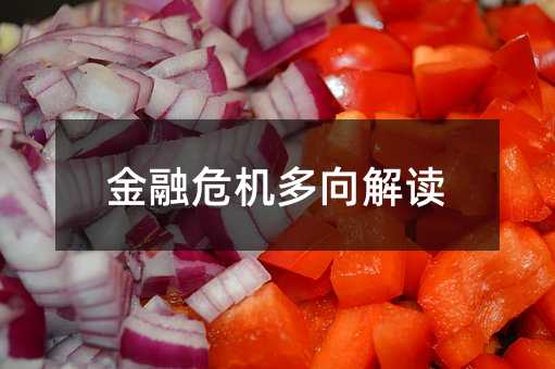 金融危机多向解读