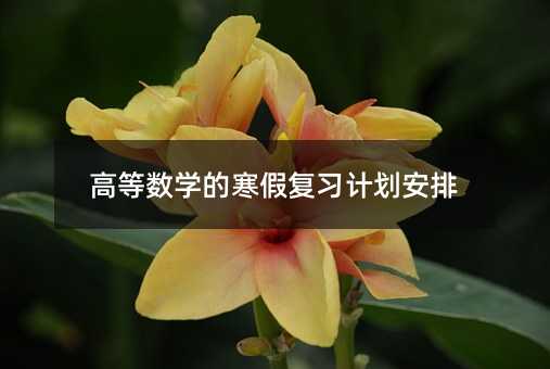 高等数学的寒假复习计划安排