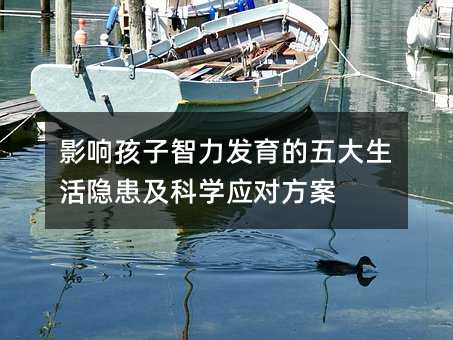 影响孩子智力发育的五大生活隐患及科学应对方案