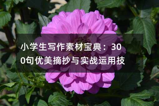 小学生写作素材宝典:300句优美摘抄与实战运用技巧