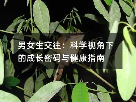 男女生交往:科学视角下的成长密码与健康指南