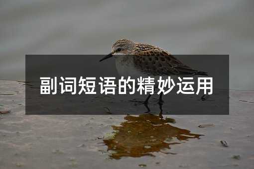 副词短语的精妙运用