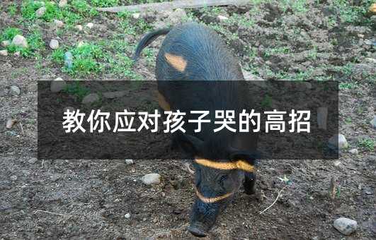 教你应对孩子哭的高招