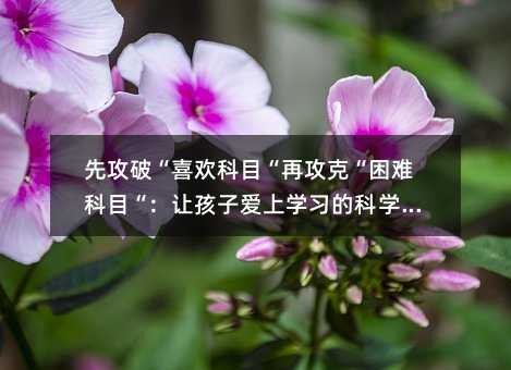 先攻破“喜欢科目“再攻克“困难科目“:让孩子爱上学习的科学策略