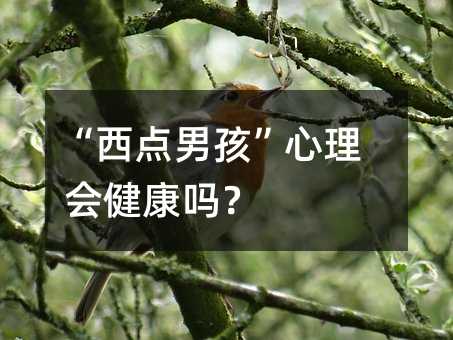 “西点男孩”心理会健康吗?