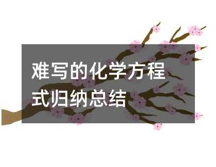 难写的化学方程式归纳总结