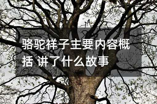 骆驼祥子主要内容概括 讲了什么故事