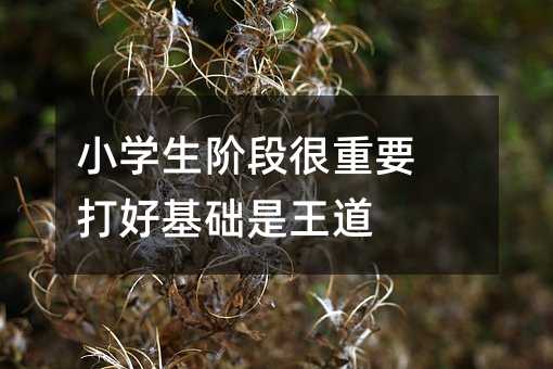 小学生阶段很重要 打好基础是王道