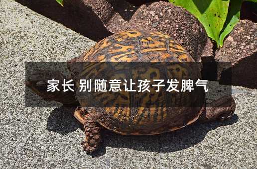 家长 别随意让孩子发脾气