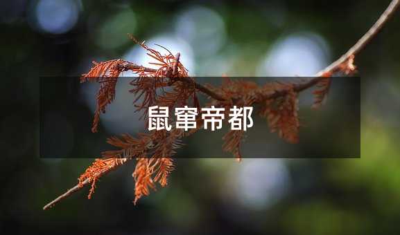 鼠窜帝都