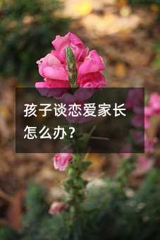 孩子谈恋爱家长怎么办?