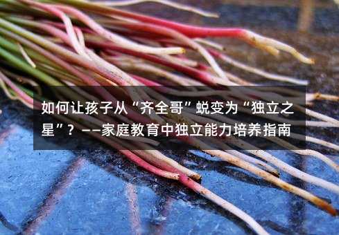 如何让孩子从“齐全哥”蜕变为“独立之星”?——家庭教育中独立能力培养指南