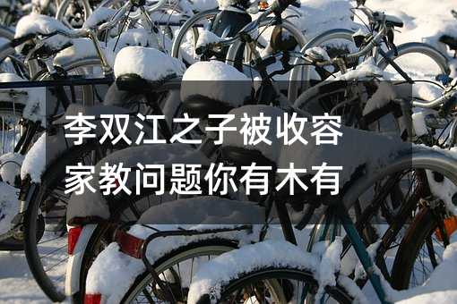 李双江之子被收容 家教问题你有木有