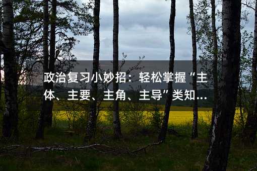 政治复习小妙招:轻松掌握“主体、主要、主角、主导”类知识点