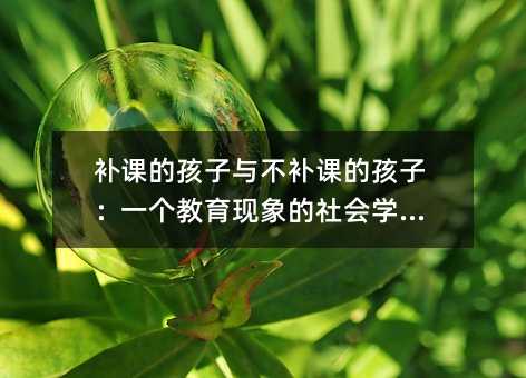 补课的孩子与不补课的孩子:一个教育现象的社会学观察