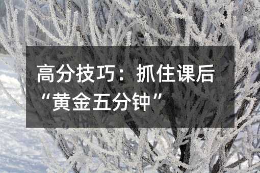 高分技巧:抓住课后“黄金五分钟”