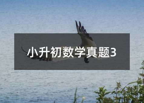 小升初数学真题3
