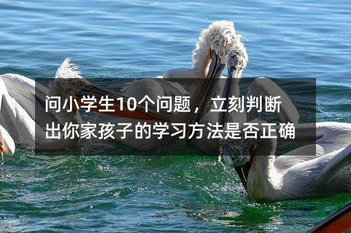 问小学生10个问题，立刻判断出你家孩子的学习方法是否正确