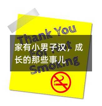 家有小男子汉,成长的那些事儿