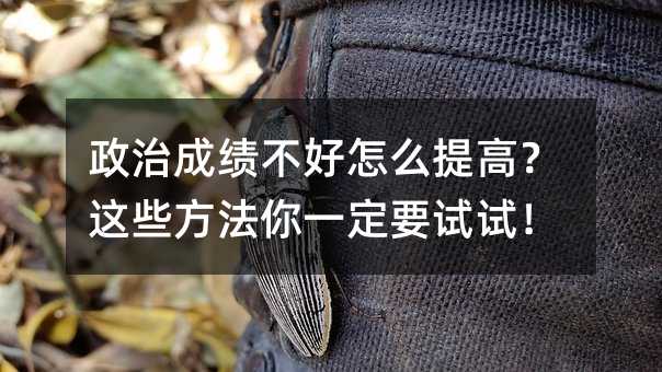 政治成绩不好怎么提高?这些方法你一定要试试!